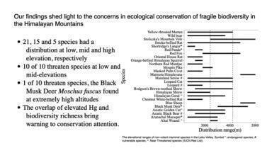 Elevational gradience in soils and small mammals from the East Himalayas, China